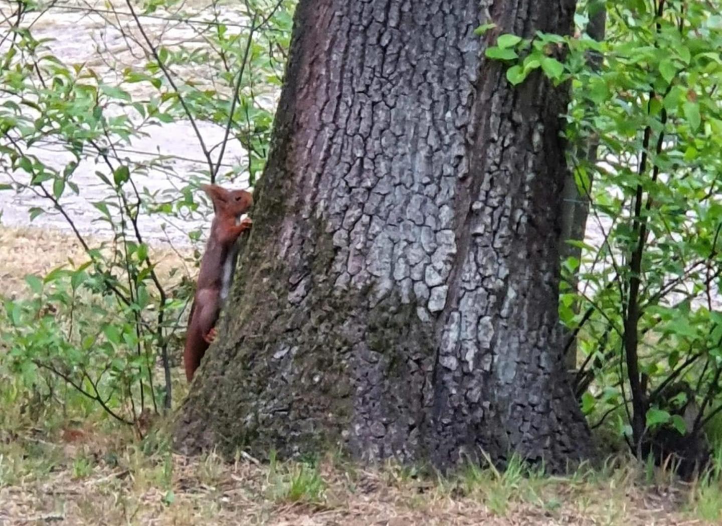 Familiehuis De Spar Otterlo Esterno foto